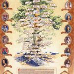 5-7 kotromanjici (1 of 1)