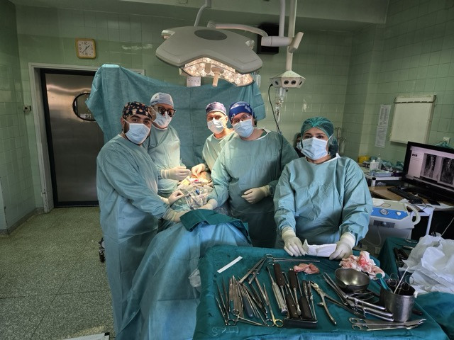 medium-karaikovic2_1763469702